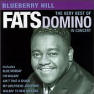 Fats Domino Vinyl Record Albums