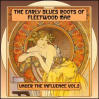 Fleetwood Mac Vinyl Record Albums