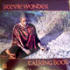 Stevie Wonder Vinyl Record Albums